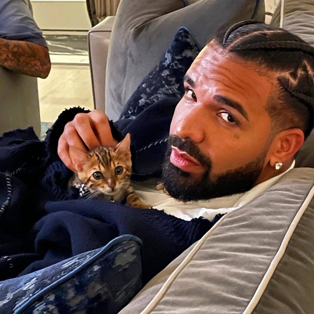 Drake posing with a cat in 2022.