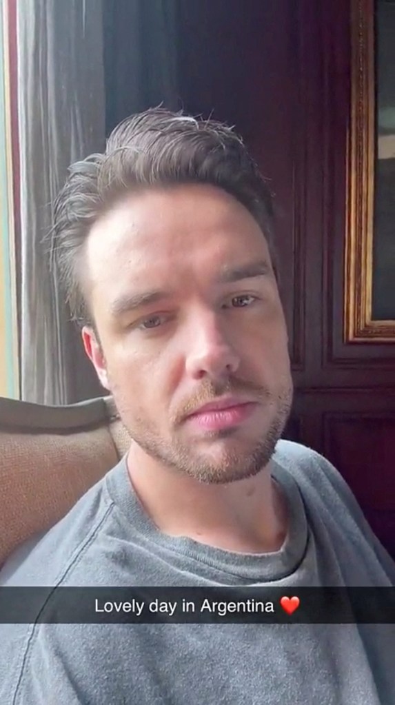 Liam Payne selfie