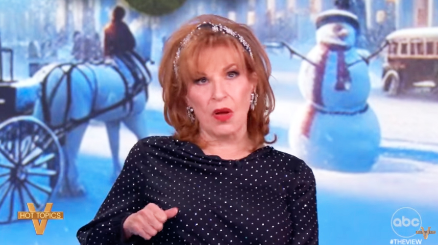 Joy Behar on The View