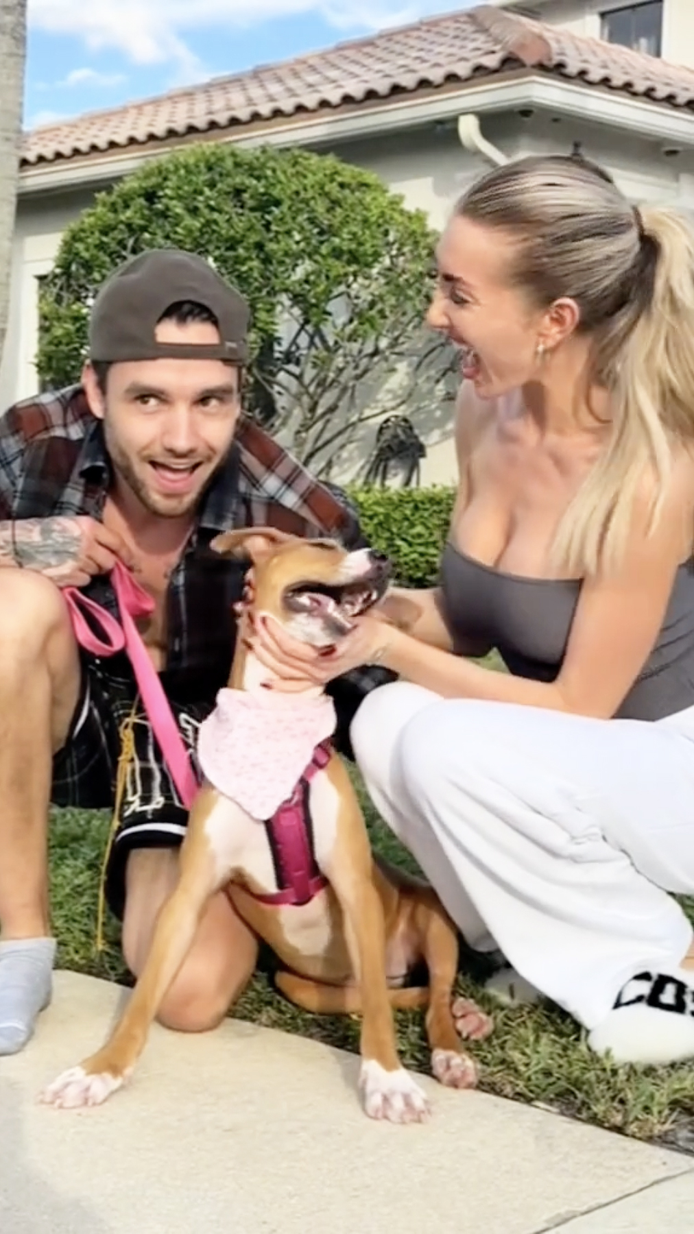 Liam Payne and Kate Cassidy with their dog