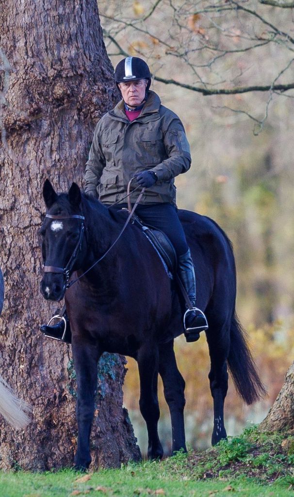 Prince Andrew on a horse in Windsor on December 2.