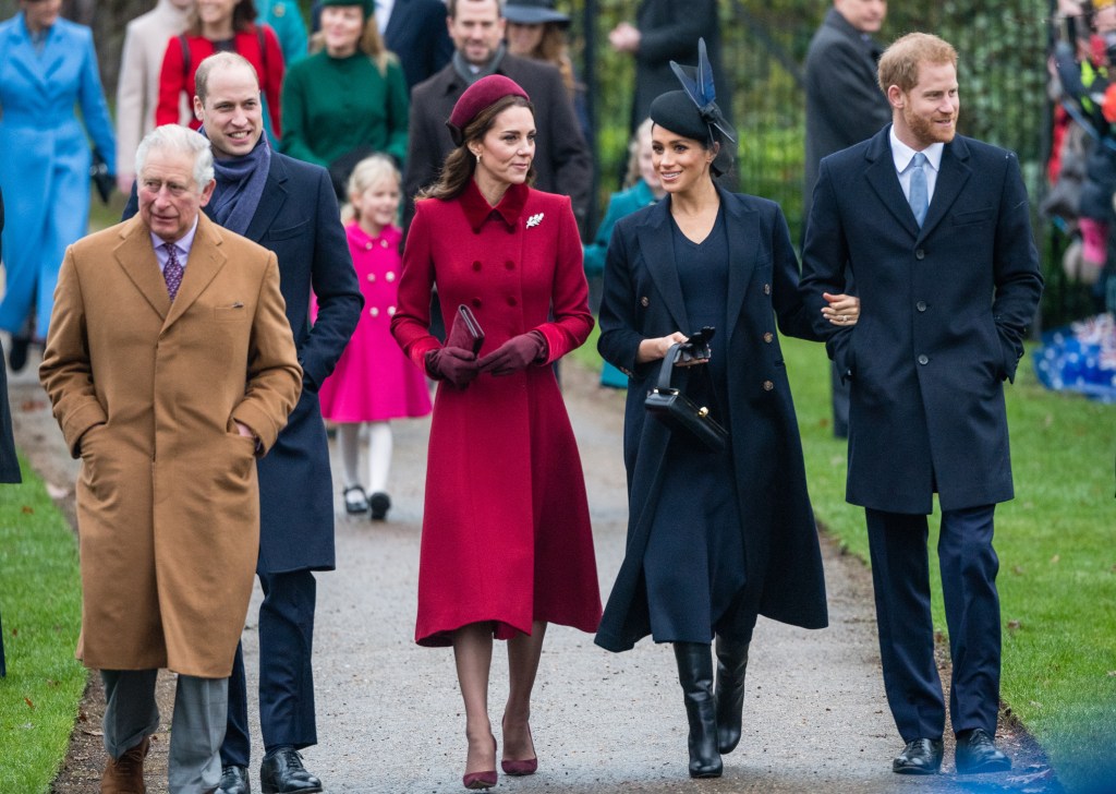 kate middleton, prince harry, meghan markle, prince william and king charles