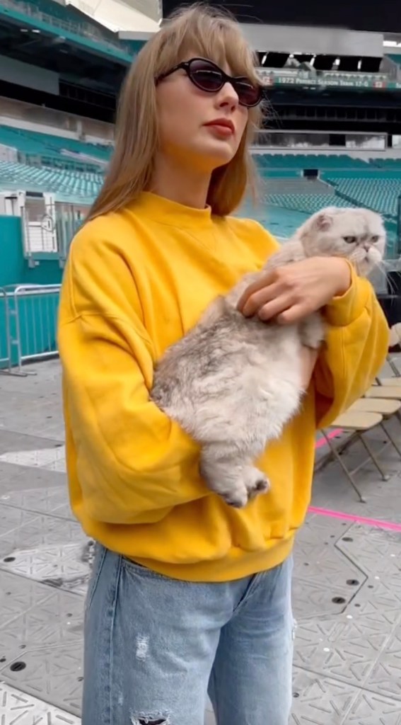 Taylor Swift and her cat Benson