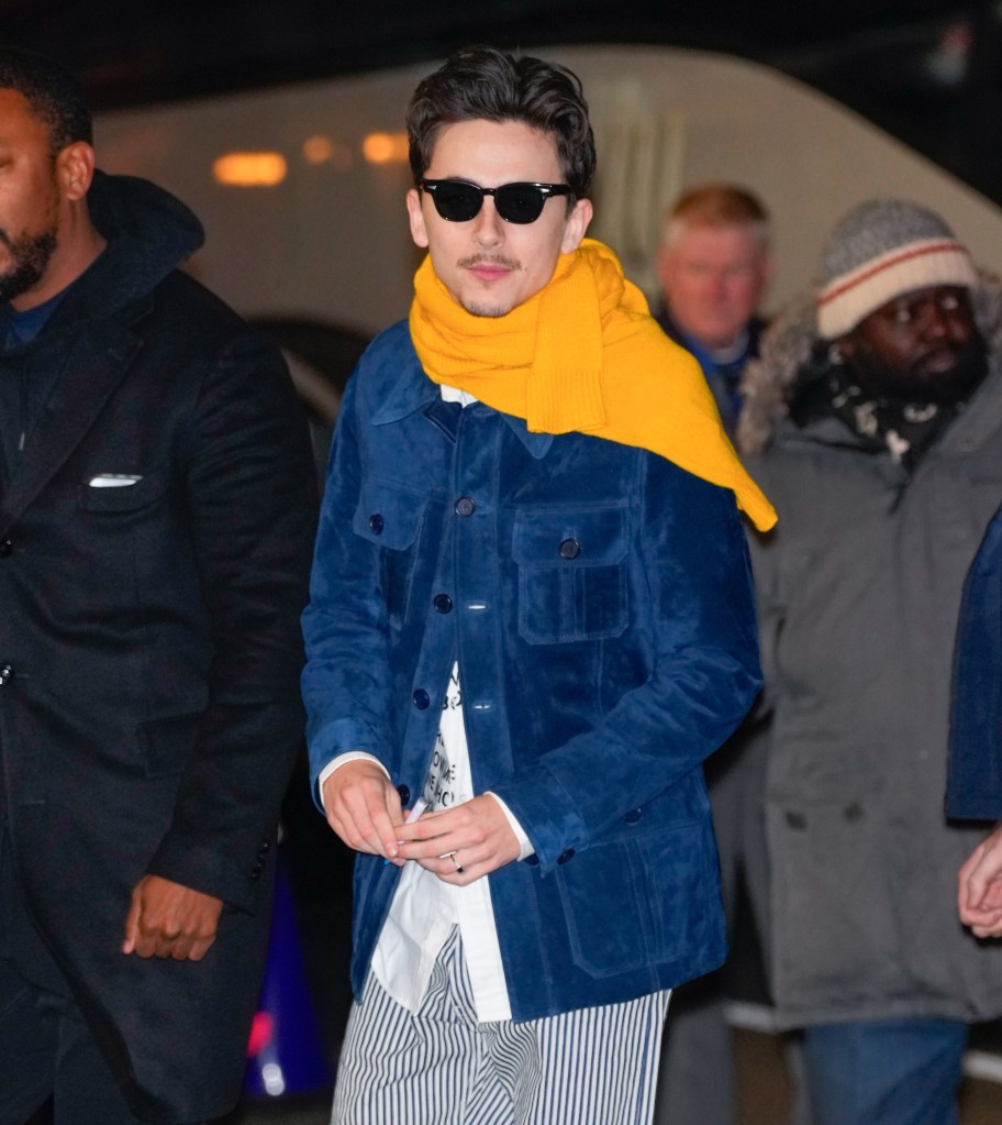 Timothée Chalamet New York