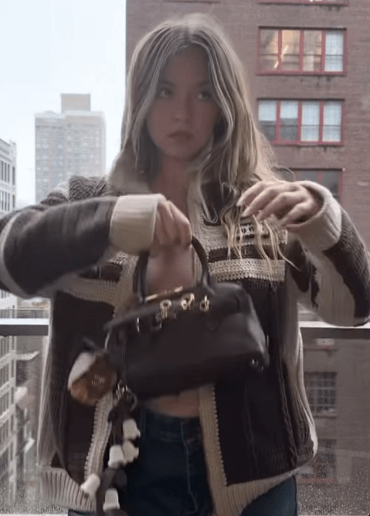 Sydney Sweeney miu miu purse