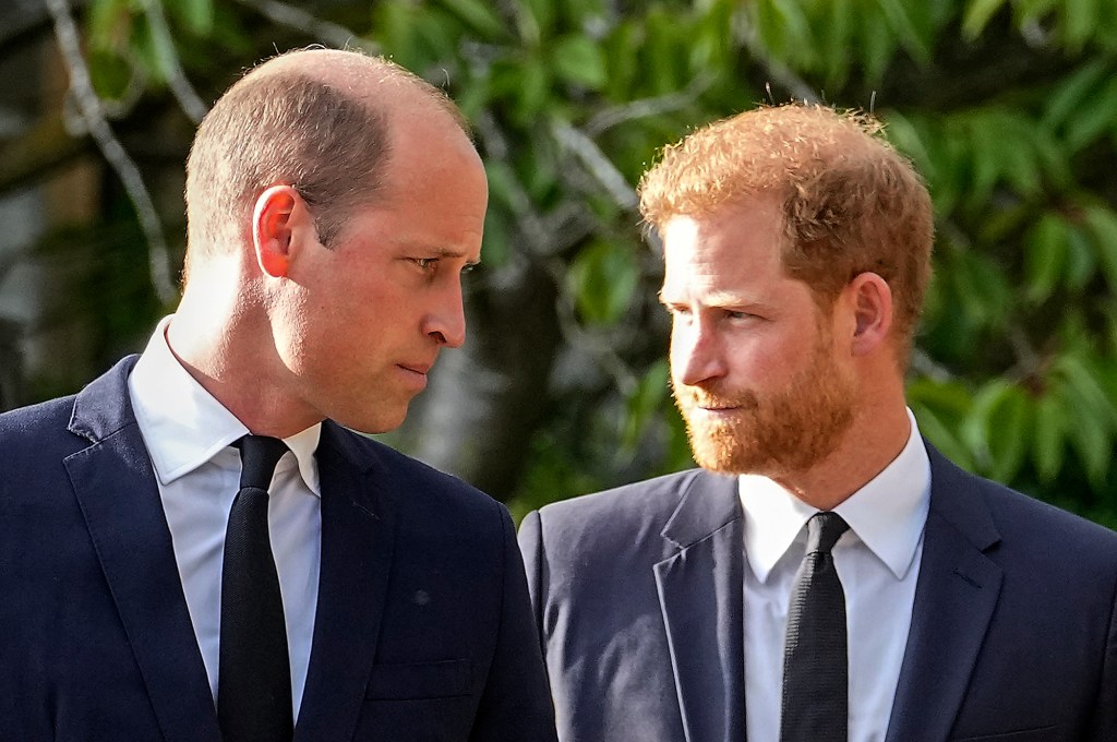 Prince William and Prince Harry in 2022.