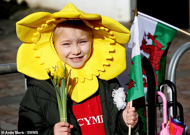 Pictured: An excited wellwisher sporting Welsh pride, looking very excited to meet the Prince and Princess