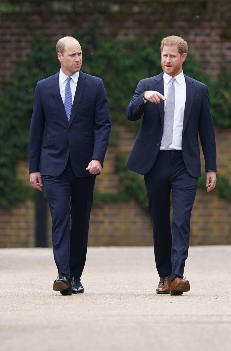 Prince William and Prince Harry