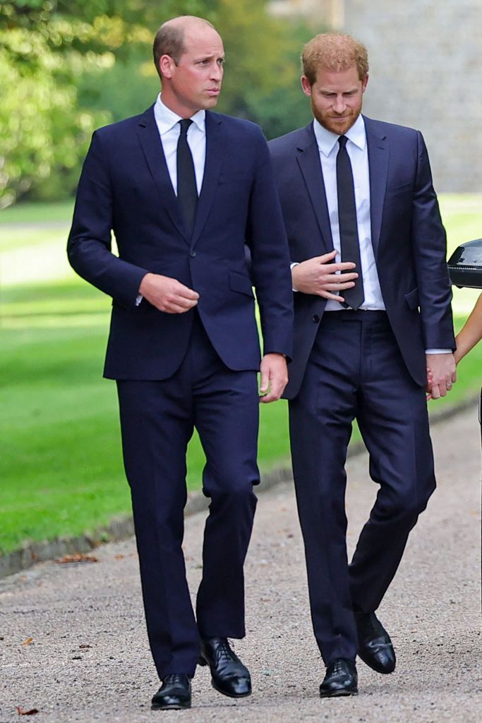 Prince Harry and Prince William in 2022.