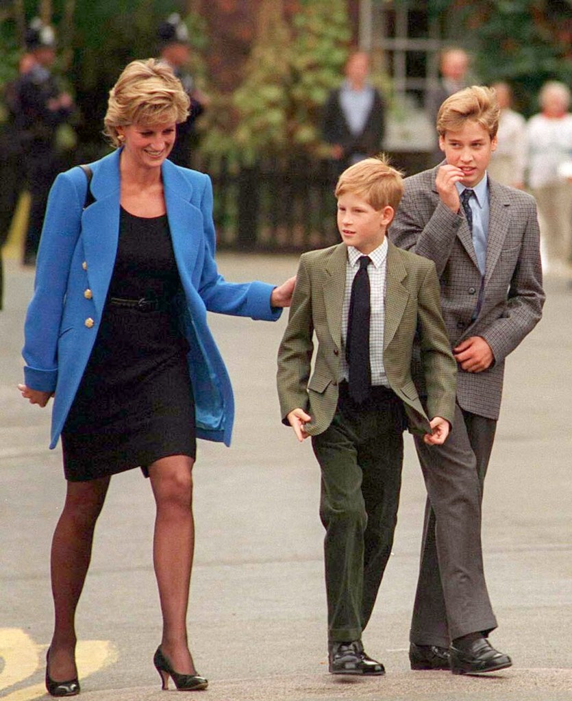 Princess Diana with Prince William and Prince Harry in 1995.